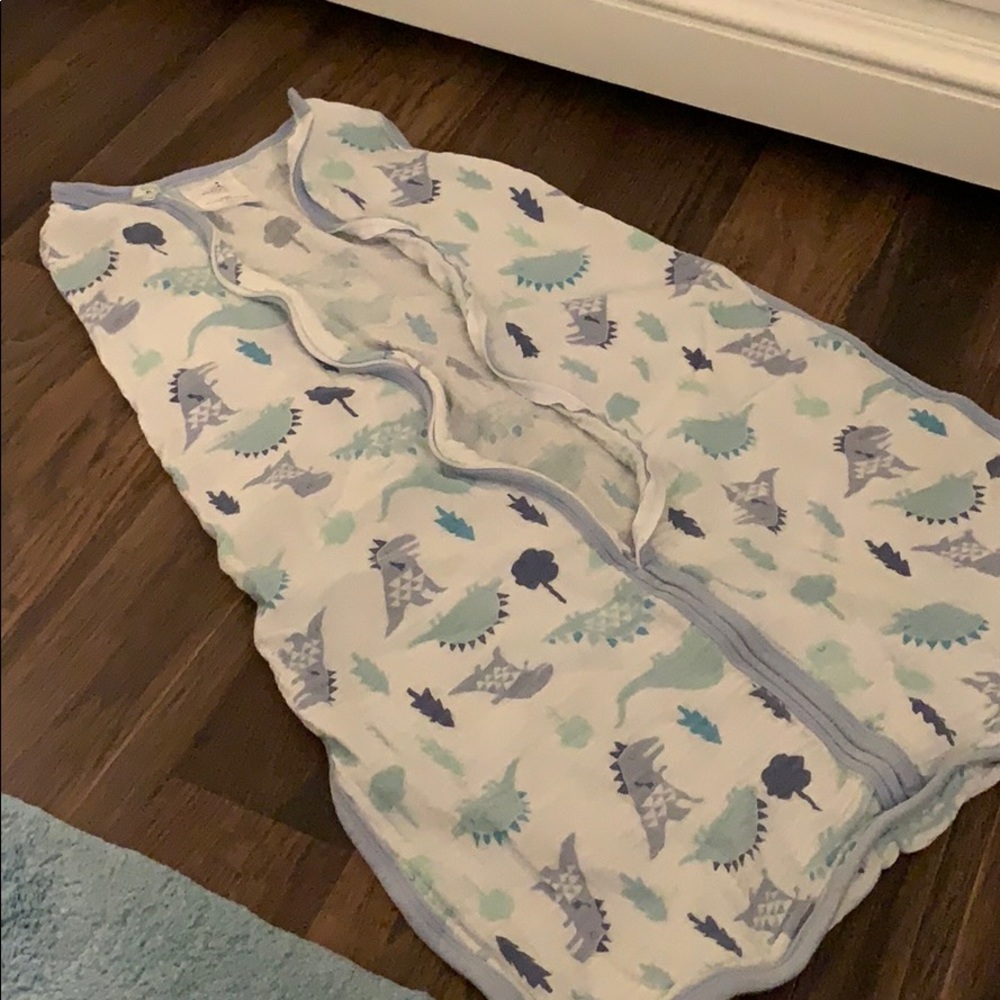 Aden + Anais sleep sack